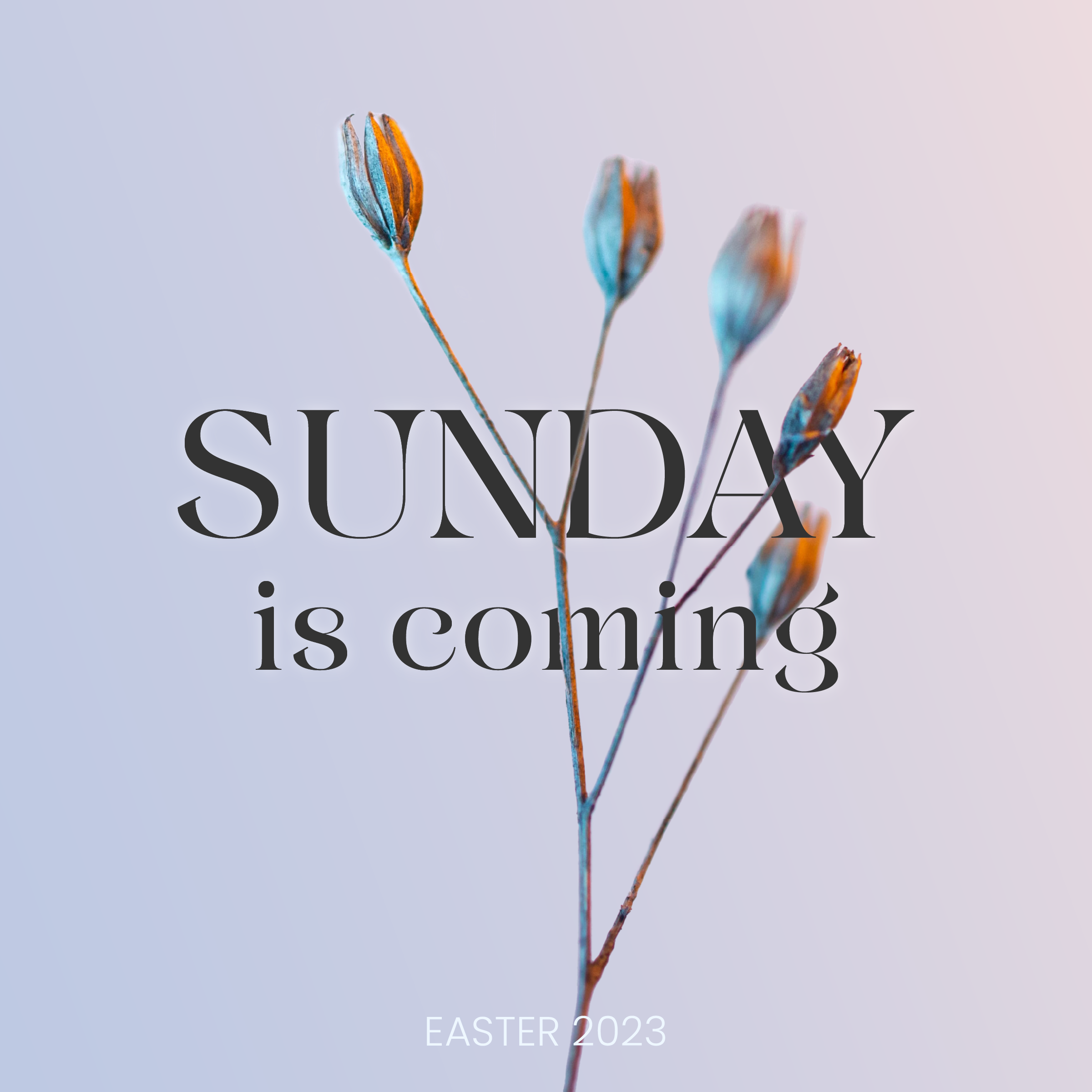 Sunday Is Coming // The Cross // Denis Thompson