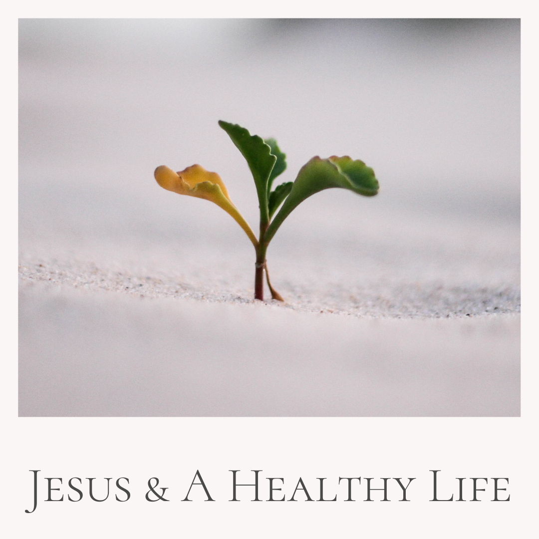 Jesus & A Healthy Life // John Clarke
